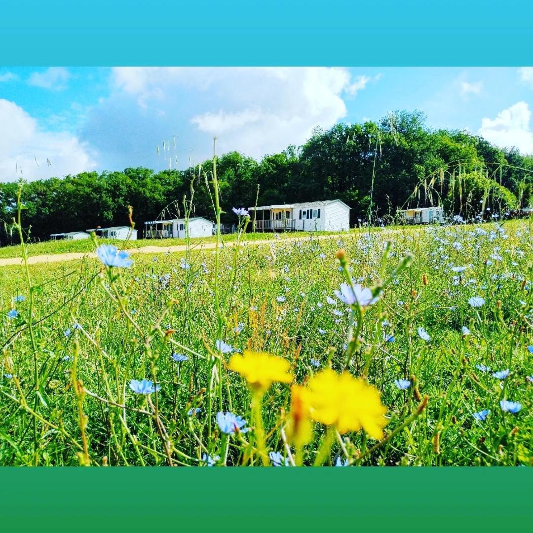 Camping Nature Le Valenty Mobil-Home-Dordogne Panoramique Clim Piscine Soturac Bagian luar foto